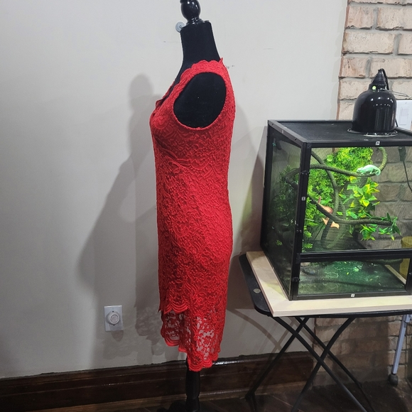 NWOT Lace overlay scalloped hem stretch dress - Picture 6 of 8